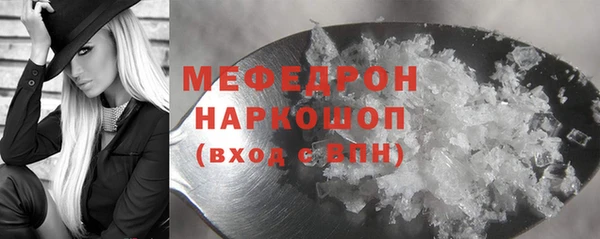 прущие грибы Ельня