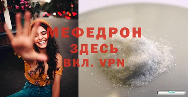 прущие грибы Ельня