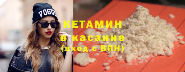прущие грибы Ельня