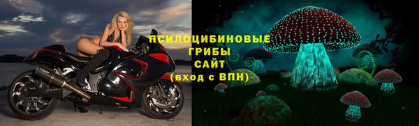 хмурый Елизово