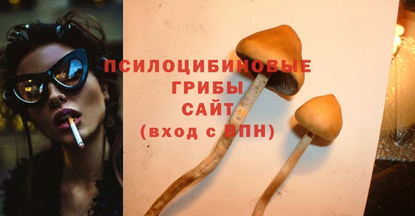 мескалин Елабуга