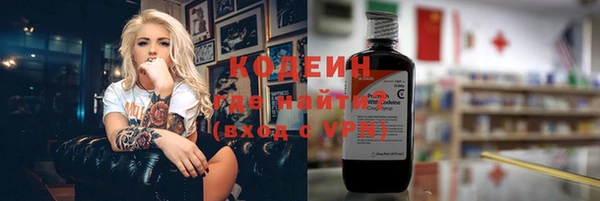 прущие грибы Ельня