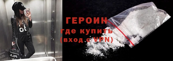 прущие грибы Ельня
