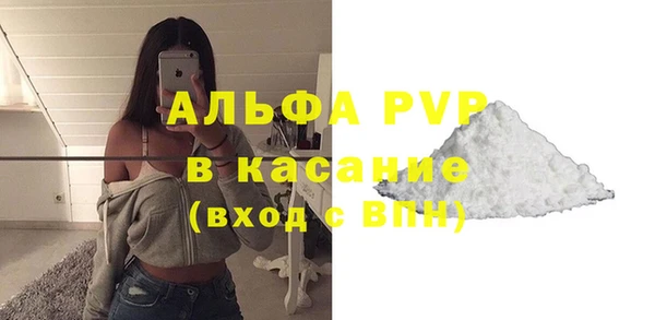 прущие грибы Ельня