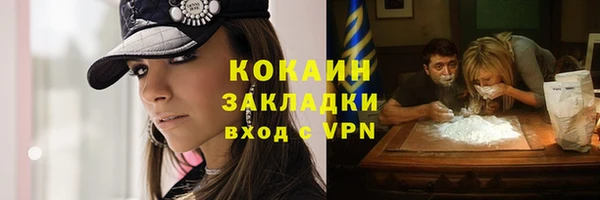 прущие грибы Ельня