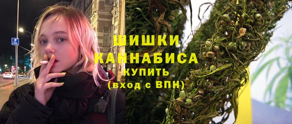 прущие грибы Ельня