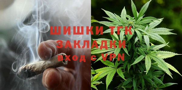 прущие грибы Ельня