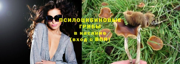 мескалин Елабуга