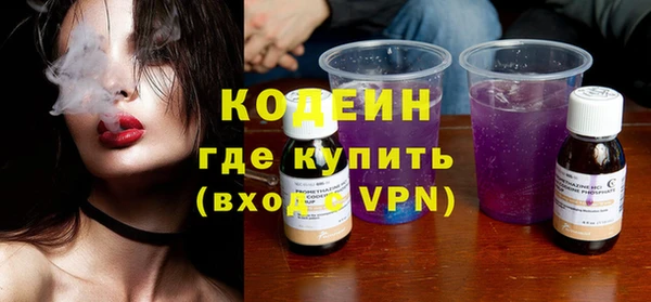 прущие грибы Ельня