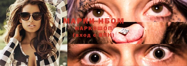 хмурый Елизово